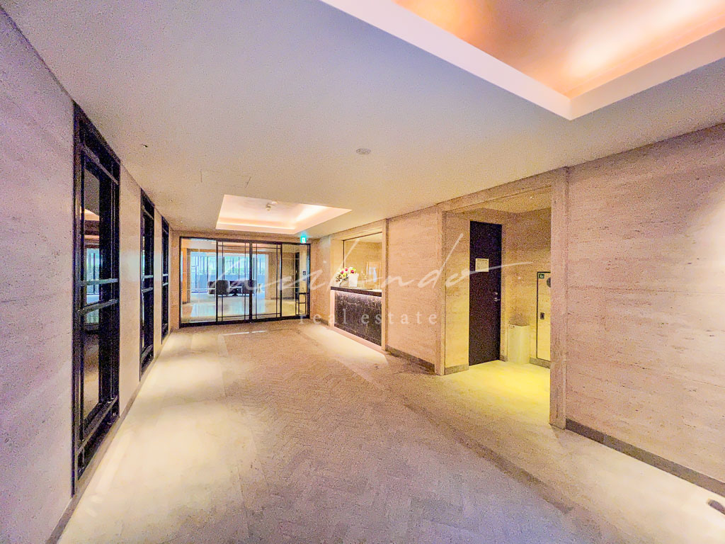 the conoe三田綱　写真