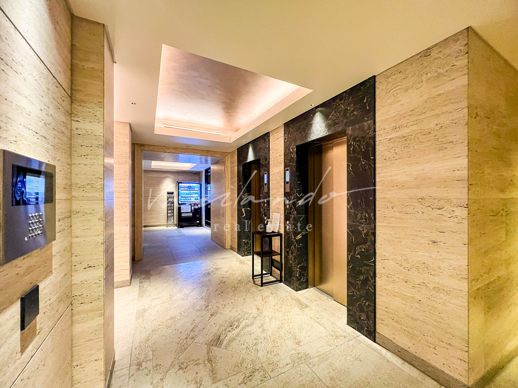 the conoe三田綱　写真