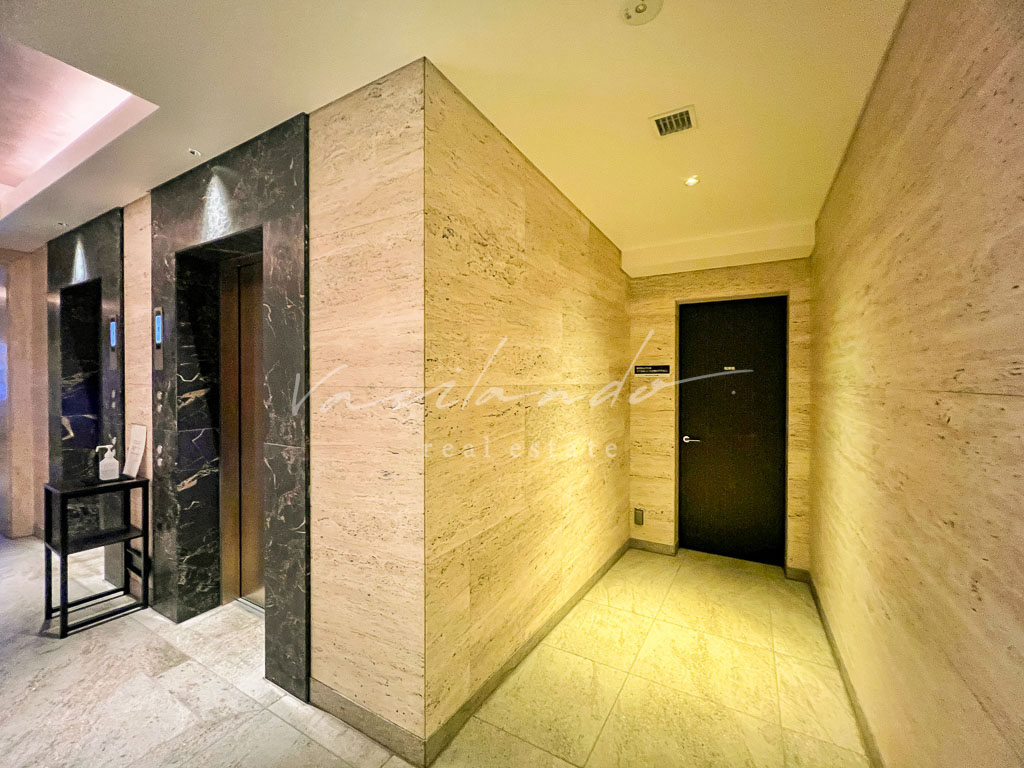 the conoe三田綱　写真