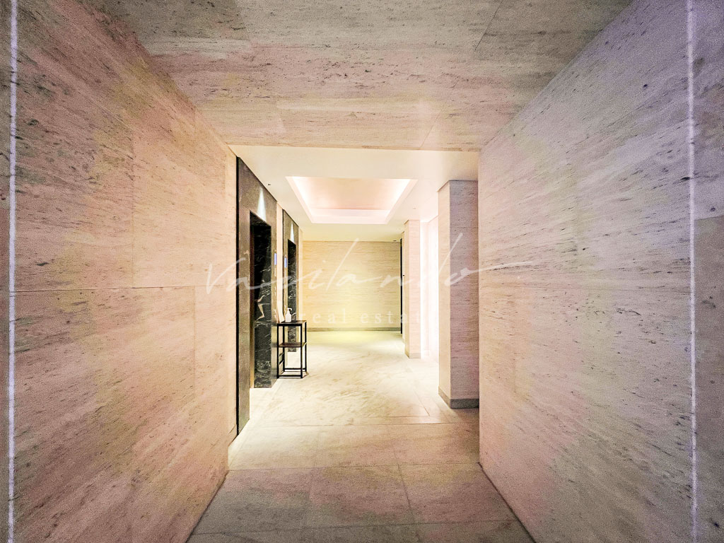 the conoe三田綱　写真