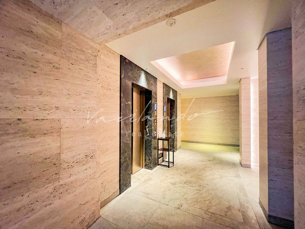 the conoe三田綱　写真