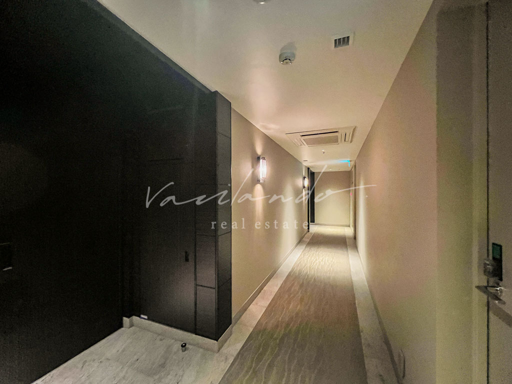 the conoe三田綱　写真